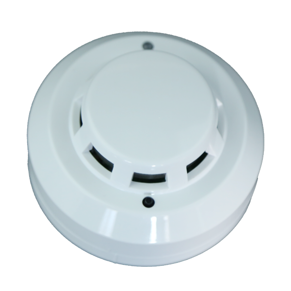 ��ȼ����̽����