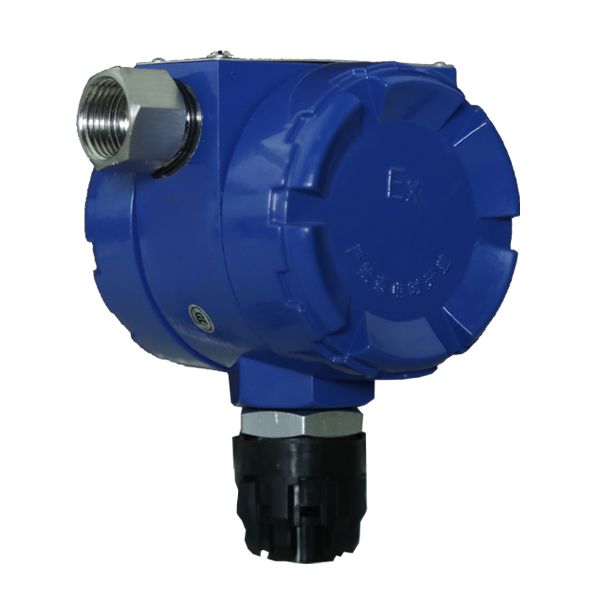 ��ȼ����̽����